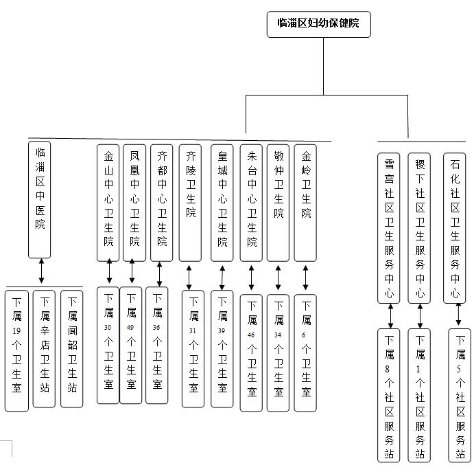 【保健管理】臨淄區(qū)婦幼健康服務(wù)三級(jí)網(wǎng)絡(luò)